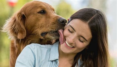 perros cojiendo con mujeres|Rubia se deja coger por su perro por primera vez